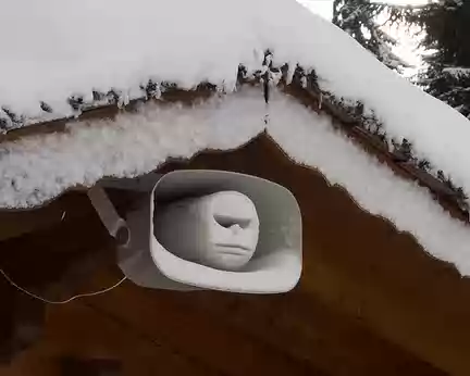 P2030618 Sa vraie nature se révèle avec un peu de neige, il active même la détection des visages de l'appareil de photo !